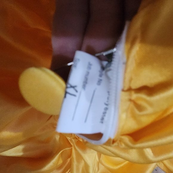 Beauty and the Beast formal gown - Picture 2 of 5